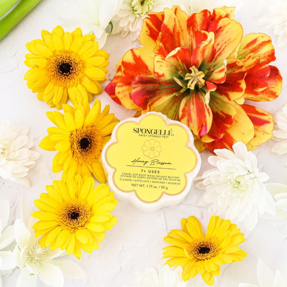 Daisy Spongettes