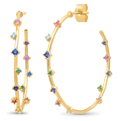 Rainbow Hoop Earring