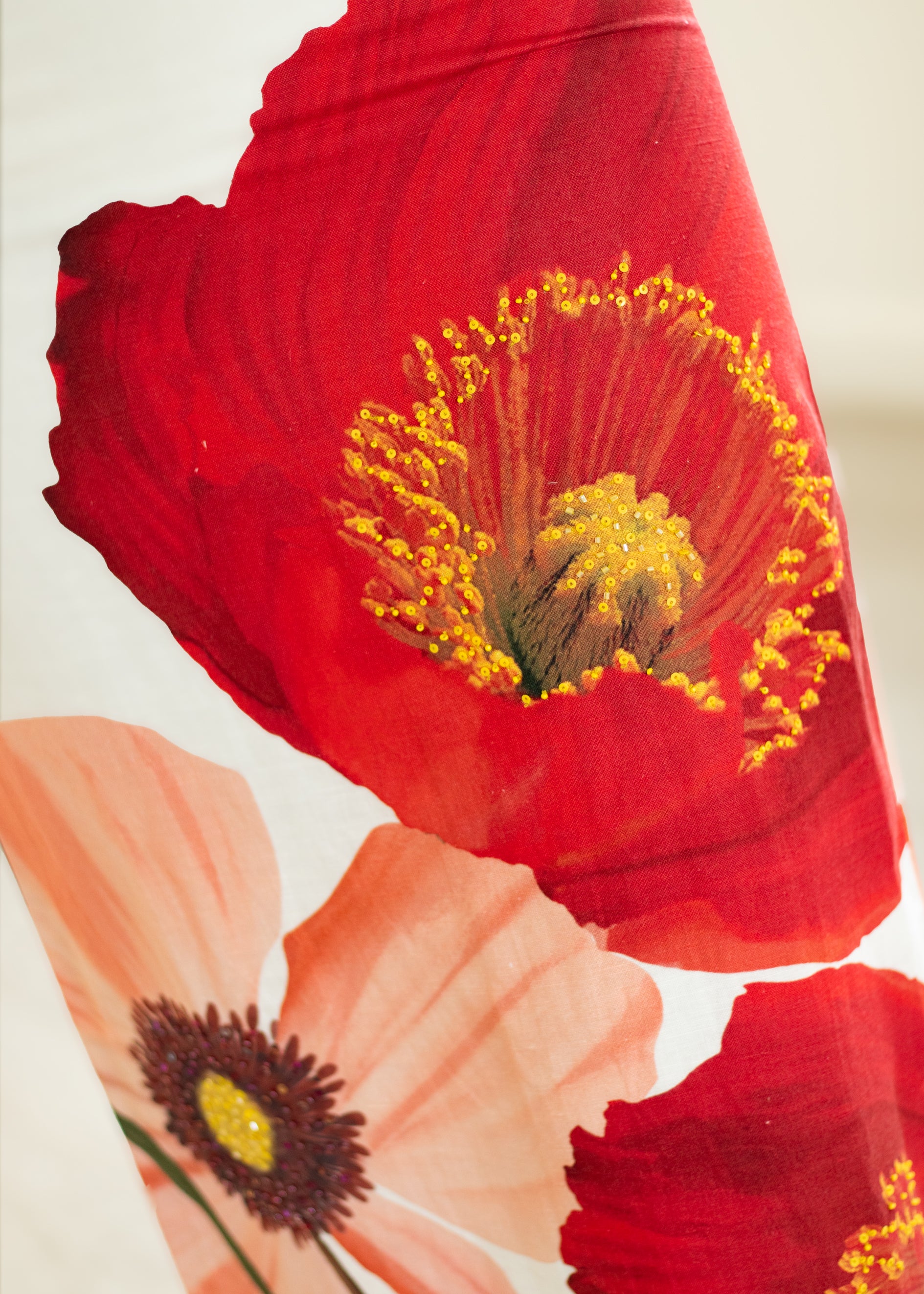 Close-up of red and pink flowers with a focus on their centers.