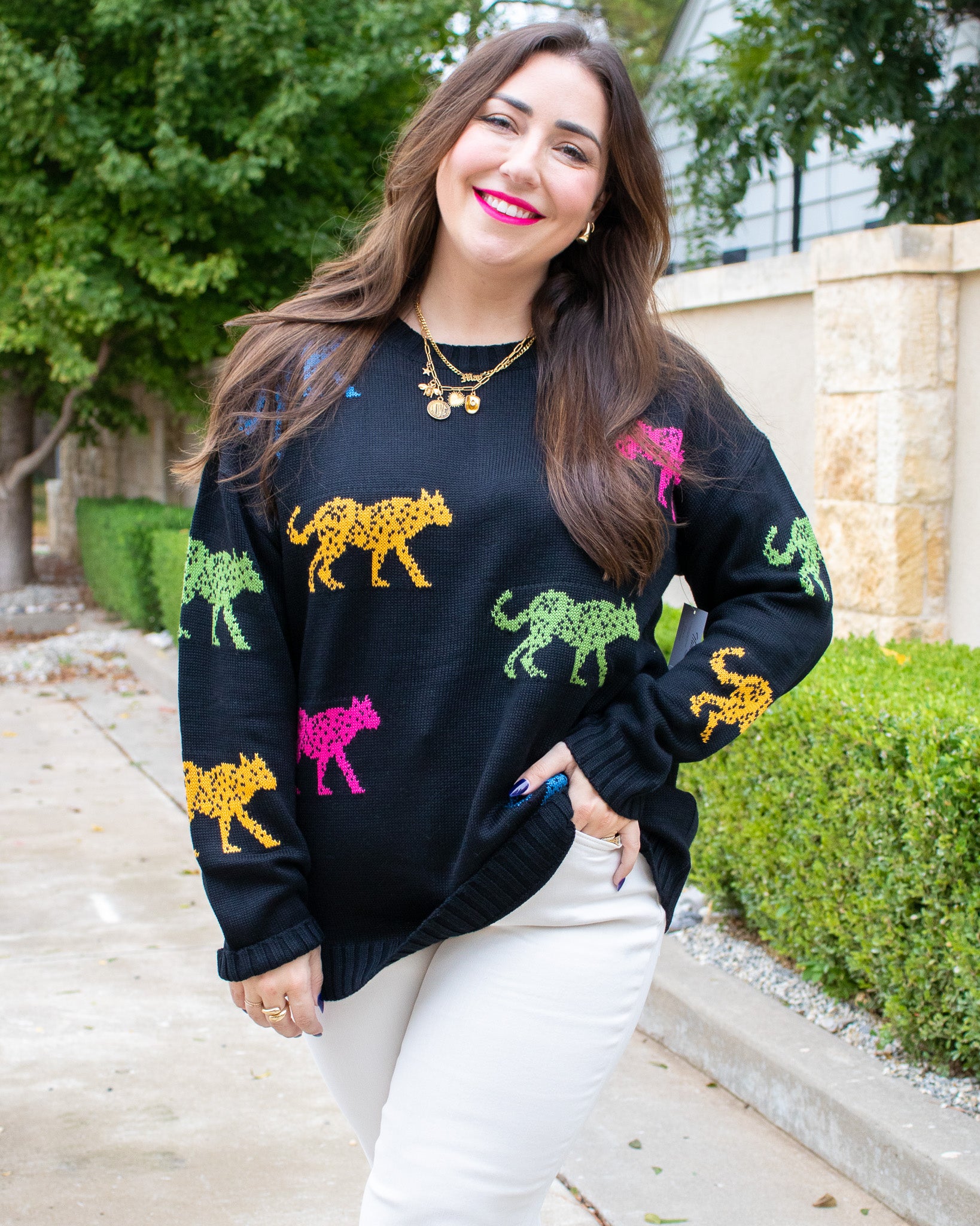 Rainbow Tiger Sweater