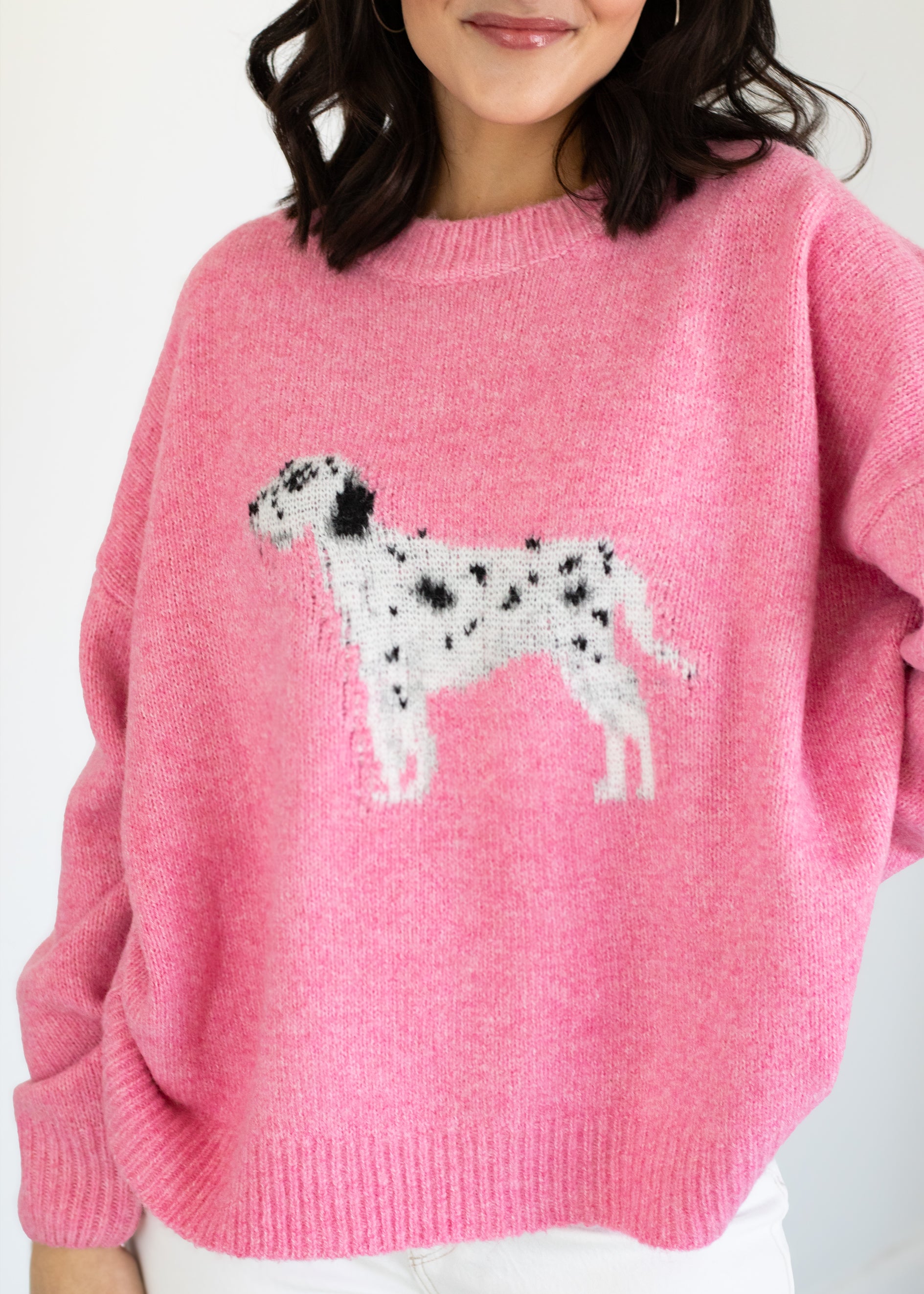 Person wearing a pink sweater with a Dalmatian dog design on a white background