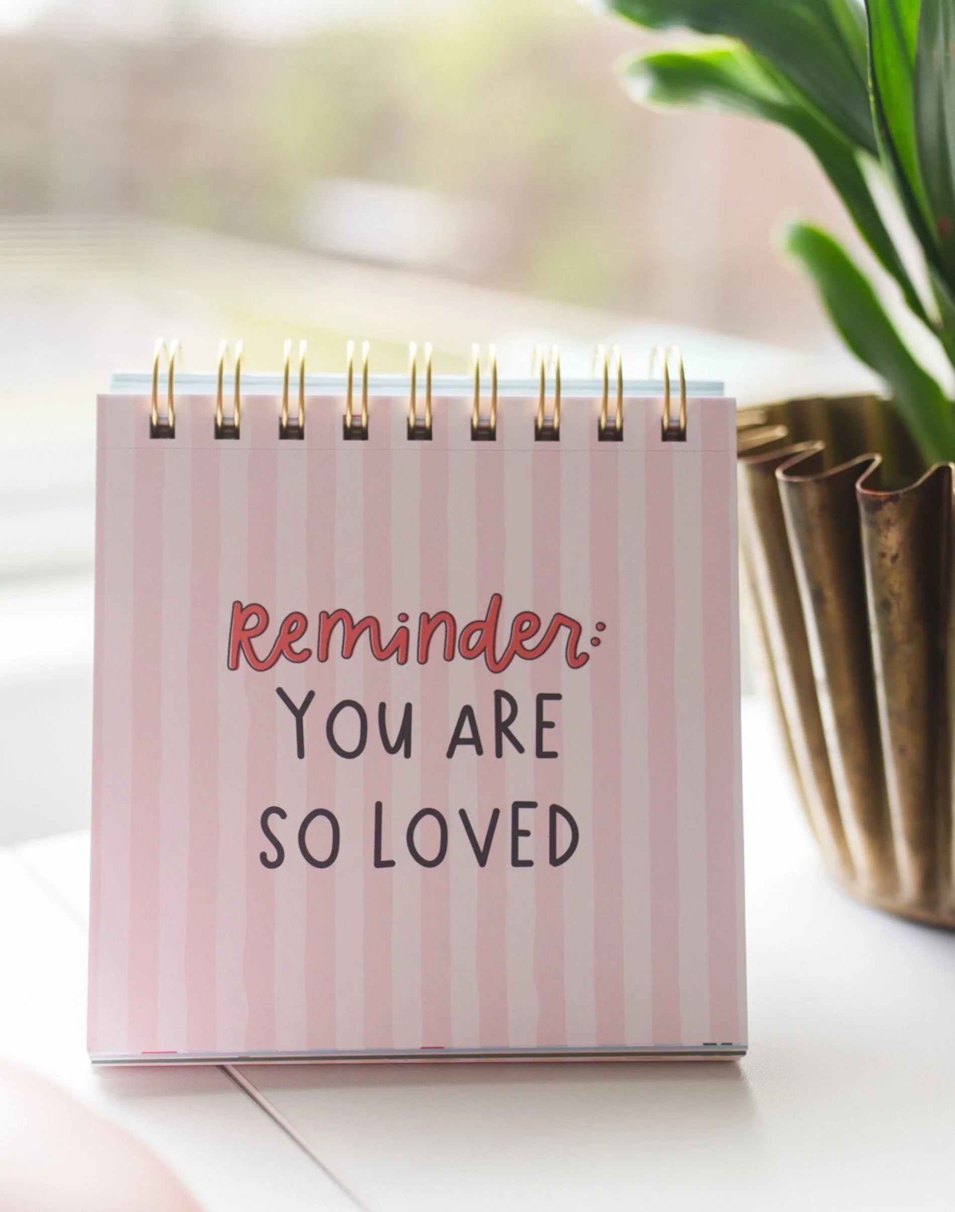 Small notebook with 'Reminder: You are so loved' text on a light surface with a plant in the background.